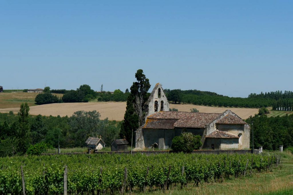 Paysage de vignes - Sud ouest
