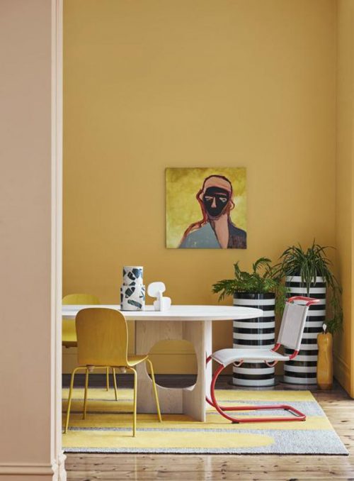 Couleurs : moutarde, épices